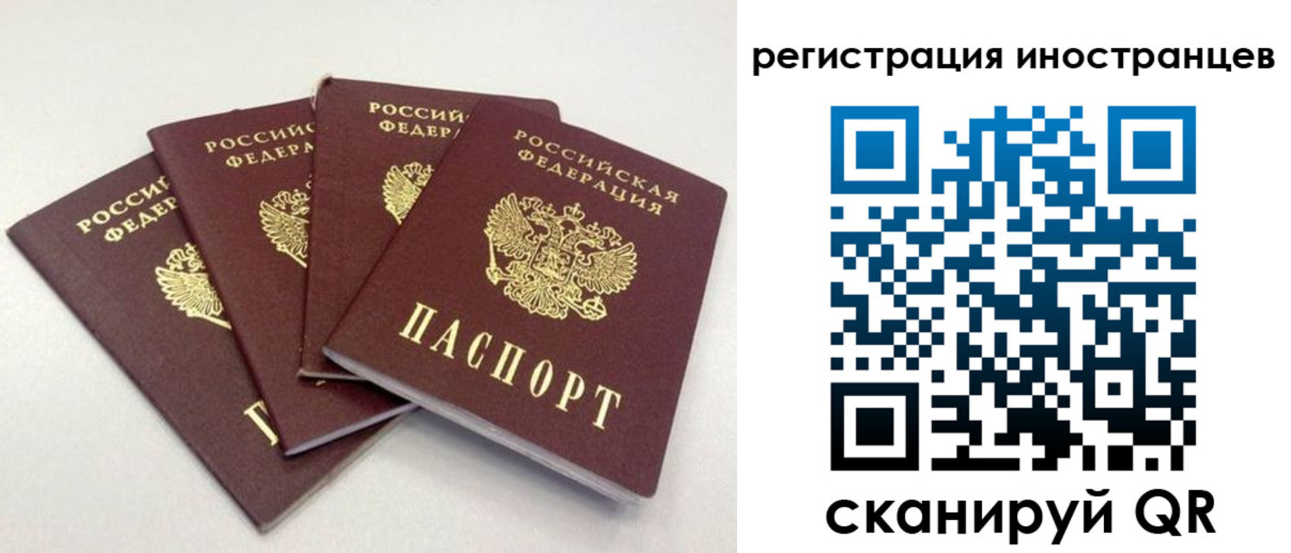 временная регистрация для школы в Микуни
